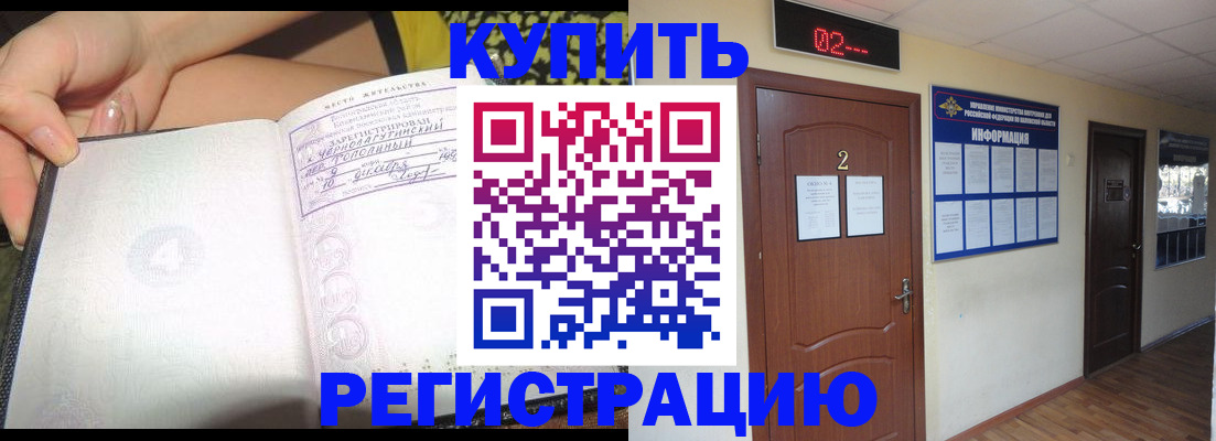 временная регистрация 2025 в Мончегорске